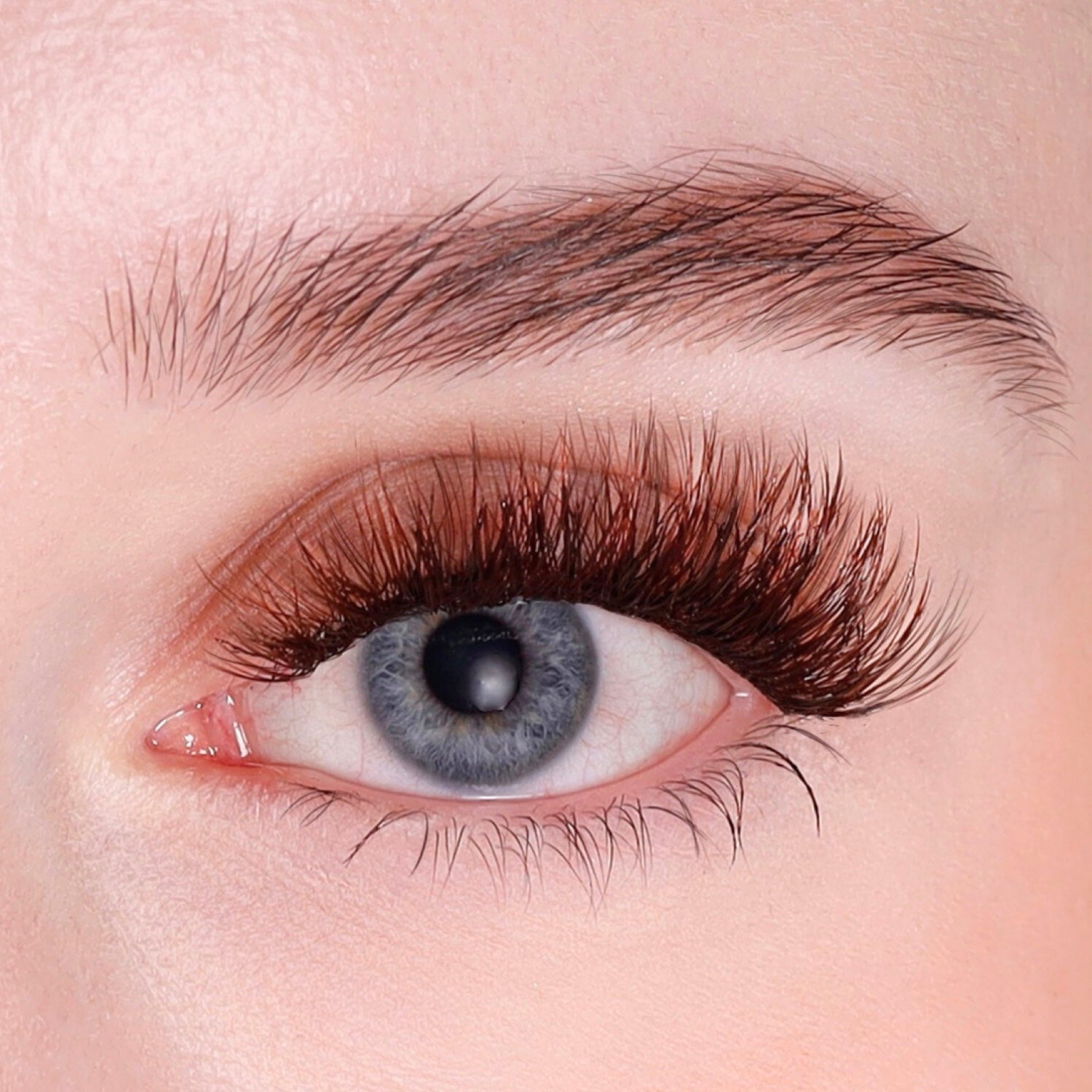 Bambi Eye – Chocolate #Farbe_chocolate